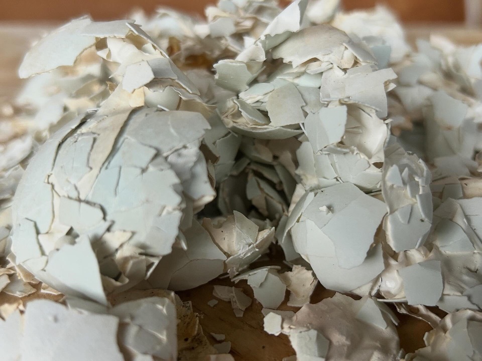 @thunderstone.tw 在 Threads 發文中使用的圖片