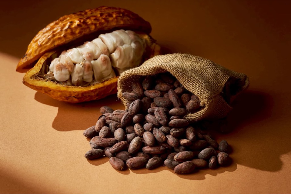 Amberra Chocolate 在 Threads 發文中使用的圖片