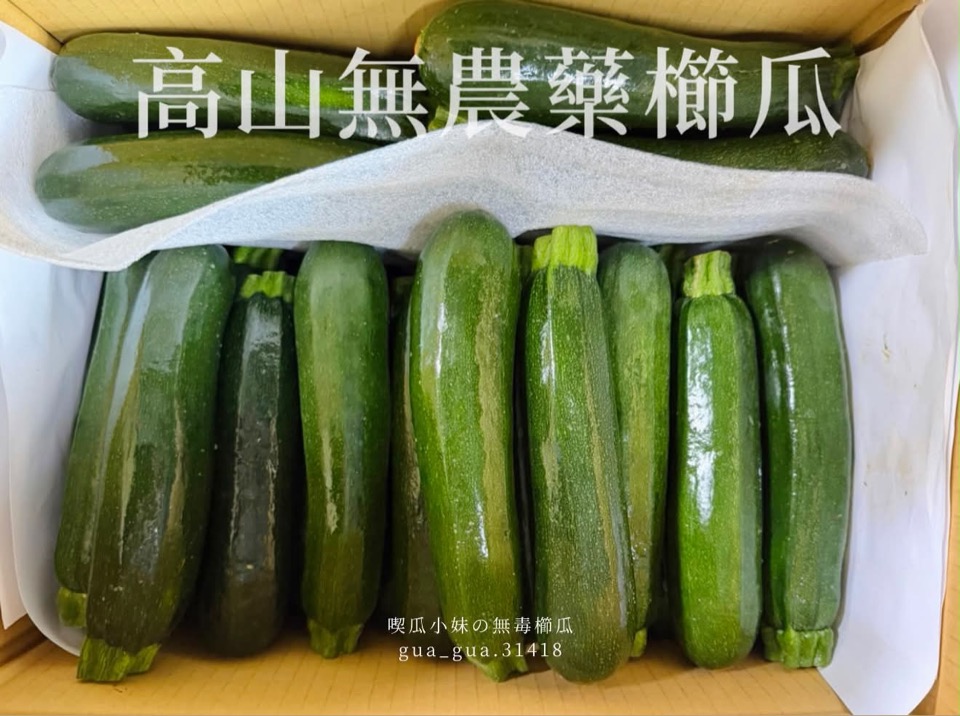 @organic.zucchini.gua 在 Threads 發文中使用的圖片